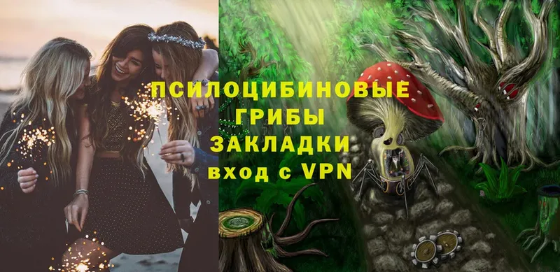 где можно купить   Заречный  Галлюциногенные грибы Psilocybe 